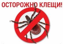 клещи