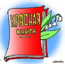 красная книга
