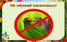 насекомые-наши друзья